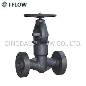 Shut Down Shut off Industrial Valve API 602 Forged Steel Globe Valve