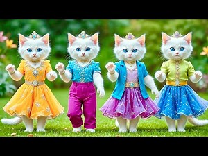 Coolest Dancing Cats Ever 😹💃Funny Kitten Dance Party 2024 🐾 #CatDance #FunnyCats @CatieMano