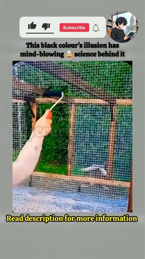 this will blow your mind 🤯#shorts #wow #illusion