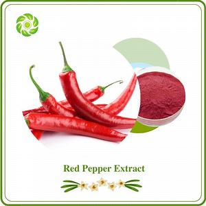 [Hot Item] Word Well-Being Capsicum Extract, Red Pepper Extract 98%, Capsaicin Powder
