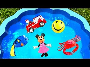 Learn Colors with Pool of Toys For Kids - Colors and Toys for Children - Paw Patrol Learn Colors