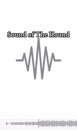 Discover the Sound of The Hound Music