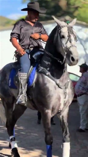 El Moro de Cumpas - Antonio Aguilar