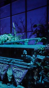 Some say he’s still wandering the halls of Haunted Mansion to this day… 🚶🏚️ WATCH NOW on Disney Parks YouTube to see Josh Gad take on the role of a Haunted Mansion caretaker earlier this year at Disneyland. | Disney Parks