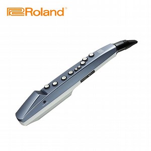 Roland 樂蘭  AE-01 Aerophone mini 數位吹管 原廠公司貨 商品保固有保障 - PChome 24h購物