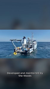 Passive acoustic buoys are scientists’ ears in the deep! Get the full story on this WHOI-developed technology that protects whales from ship strikes: go.whoi.edu/om-whales | Woods Hole Oceanographic Institution (WHOI)