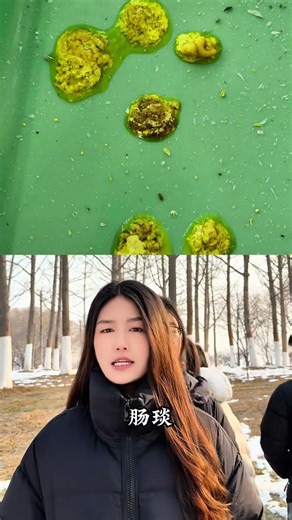 Revolutionizing Rural Farming: Parrot's New Era in Agriculture