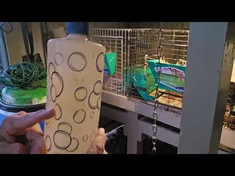 How to Fix a Leaking Rabbit Water Bottle