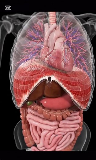 What's Inside Your Mind? 🧠 #shorts