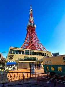 Tokyo Tower’s New Year 2024🗼🇯🇵🥰 | LIFE of JAPAN 日本の生活