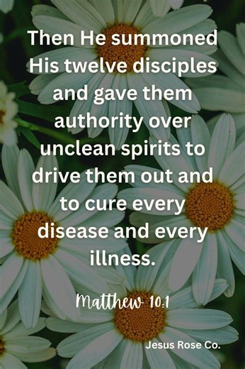 Catholic Bible Study | Matthew 10:1 | Jesus Rose Co. ✝️