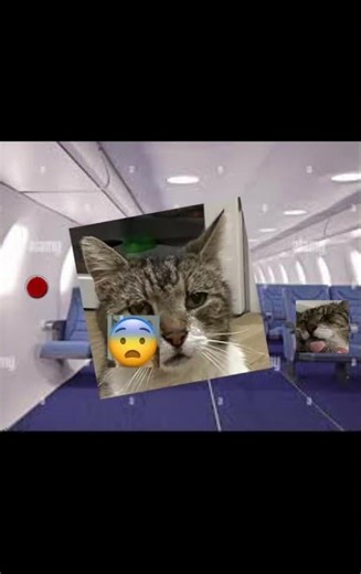 #shorts #aroplane #food