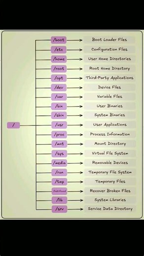 Linux File System Basics 🔥 | Easy Explanation #Shorts #LinuxCentral