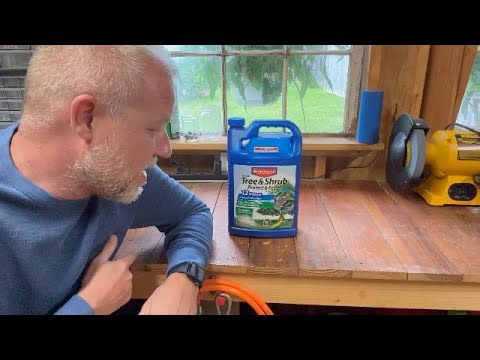 BioAdvanced BioAdvanced 12 Month Tree and Shrub Protect and Feed Concentrate, 1 Gal, Insect Killer,