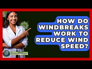 How Do Windbreaks Work To Reduce Wind Speed? - Earth Science Answers