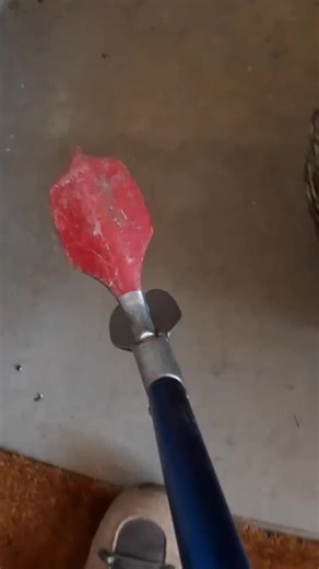 It's not cold, it's not dead. It's gentle handling of a rattlesnake with often typical response from the snake: nothing. Snake tongs get a bad rap out there due to how often they are misused, but in the right hands they are an essential tool for the job we do.