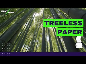 Fighting Deforestation with Bamboo Toilet Paper | Cloud Paper