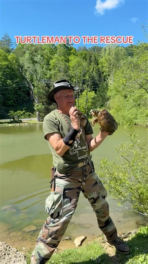 Official Turtleman on Instagram: "LIVE ACTION! @bigrockduderanch said they’re having a problem with snapping turtles killing their fish and geese so Turtleman did what he does best 🐢🤘 #YEEYEE #LIVEACTION #turtleman #wildman #tennessee #kentucky #callofthewildman #wild #hunt #hunting #fish #fishing #turtle #turtles #Kentuckyproud #pigeonforge #pigeonforgetennessee"