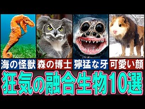 【閲覧注意】不気味すぎる融合生物１０選【ゆっくり解説】【動物おもしろ雑学】