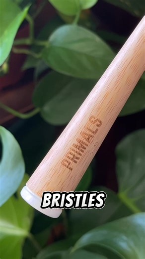 Not all toothbrushes are created equal - and most are poisoning you with microplastics. Here's the truth about what's in your bathroom: Plastic toothbrushes release up to 120 microplastic particles per use. A 2023 PubMed study (PMID: 38092338) confirmed you're ingesting 88,000 particles yearly. They enter your bloodstream, accumulate in organs, and never leave. Electric toothbrushes aren't better — same plastic bristles, same microplastic problem. Plus battery waste, replaceable heads creating m