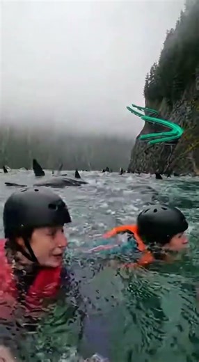 OMG! Heart shattered by this waterslide into a giant fish hole #funny #memes