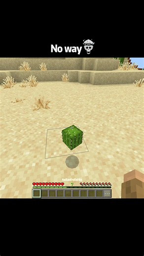 Minecraft crazy moments