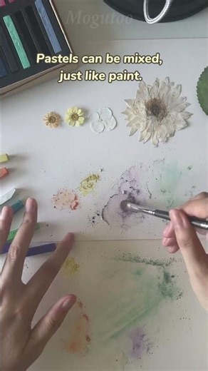 EP27 Pastel Coloring for Pressed Flowers.