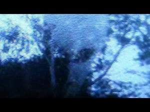 SCARY!!! Alien Grey Encounter! Caught ON Cell Phone!!!? UFO Sightings