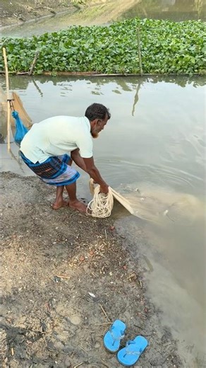 Omg! Lots of fishing by cast net.