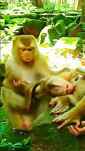 Relaxing Healing Stress, Anxiety and Depressive States, Heal Mind, Body and soul
