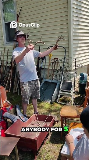 Antlers Up For Auction, $5 Starts, You Won't Believe the Final Bid! #auction #antlers #deer #ebay