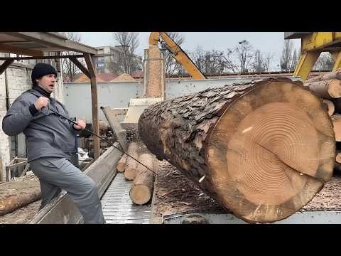 Log Stack Collapse Before Wood Chips Processing.