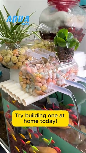 Aqua Layouts on Instagram: "DIY Filter Crystal-Clear Tank at Home #aqualayout #aquariumfish #viral #reels #fishtank #fishtanks #fishlover #aqualover #aquaX #foryou #viral #aquascape"