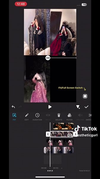 Day 3 InShot Editing Course: Master Your Skills