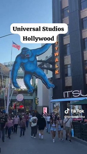 Tonton Bicha (@tontonbicha)’s videos with original sound - Tonton Bicha