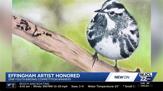 Georgia DNR announces T-shirt art contest winners