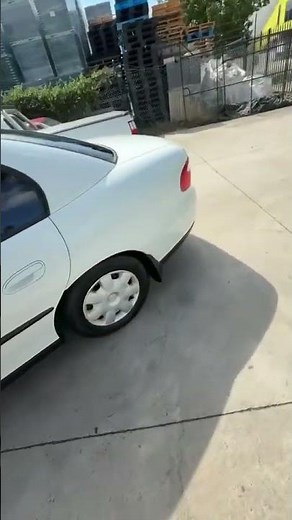 Cammed 6L VX Executive 😮‍💨 #holden #commodore #v8 #tuff #loud #cammed