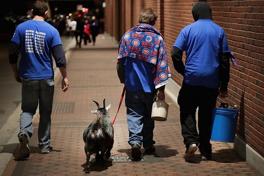 The Curse of the Billy Goat: How the Cubs Doomed Their World Series Chances for 71 Years