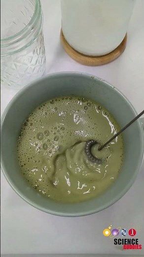 What is the protein content of plant-based milk? #science #plantbased #experiment #stem #proteinrich