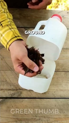 The Ultimate Compost Tea Recipe Supercharge Your Plants with Kitchen Scraps!