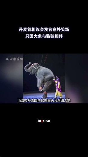 丹麦首相议会意外笑场，只因大象与骆驼相伴，轻松氛围感染全场（1/3）#丹麦首相#笑场#丹麦首相梅特#大象#骆驼#马戏团#大象与骆驼#世界政要#各国领导人#国际政坛