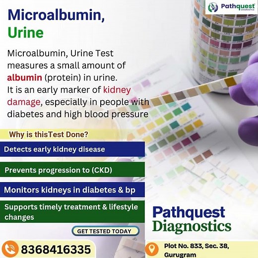 Microalbumin Urine Test | Early Kidney Damage Detection | Pathquest Diagnostics #urinetest