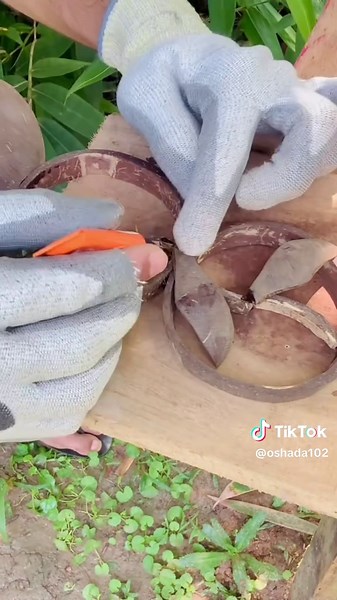 Stunning Coconut Shell Flower Sculpture Craft