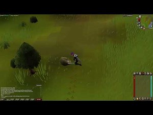 (OSRS) Loot From Hunting Razor-Backed Kebbits