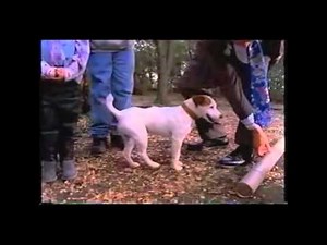 Wishbone: Homer Sweet Homer 1/2