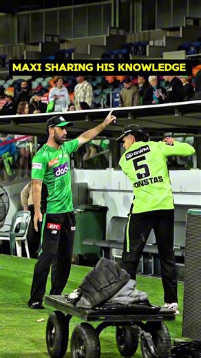 Maxi Sharing His Knowledge. #TikTokCreatorSearchInsightsIncentive #bbl #BBL2025 #cricket #shots