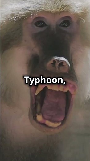 The Fly 1986, 5 amazing facts. #facts #movie