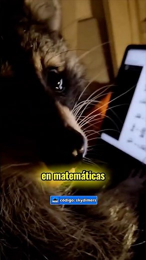 He paid to pass school 🤑