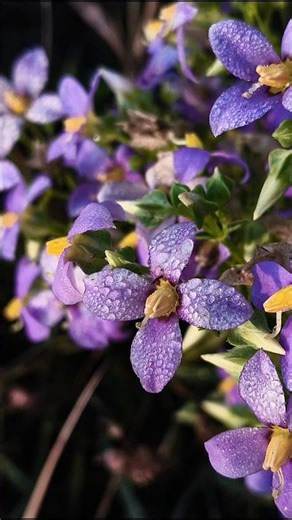 Creative Photography I Tips & Tricks with Phone using Pro Mode 🔥 Mobile Photography Hacks 📸