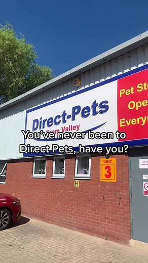 Well, what are you waiting for?! #dogs #dogsofttiktok #dogstok #doglover #directpets #dog #animalsoftiktok #petstore #pets #petstoreemployee #worklife #work #animallovers #smallbusiness #smallbusinesscheck #smallbusinessowner #smallbusinesstiktok #cats #catsoftiktok #catslovers #smallanimals #smallanimalsoftiktok